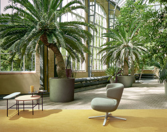 [100111112] Marmoleum Fresco
